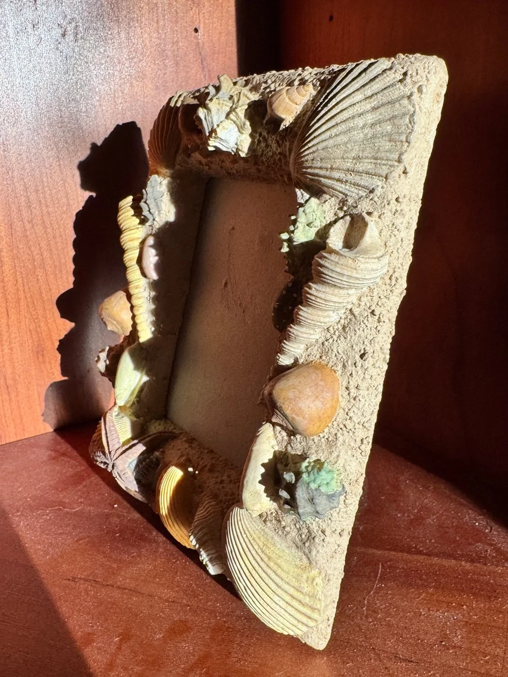 Seashell Decorative Photo Frame – Natural Sand and Shell Accent